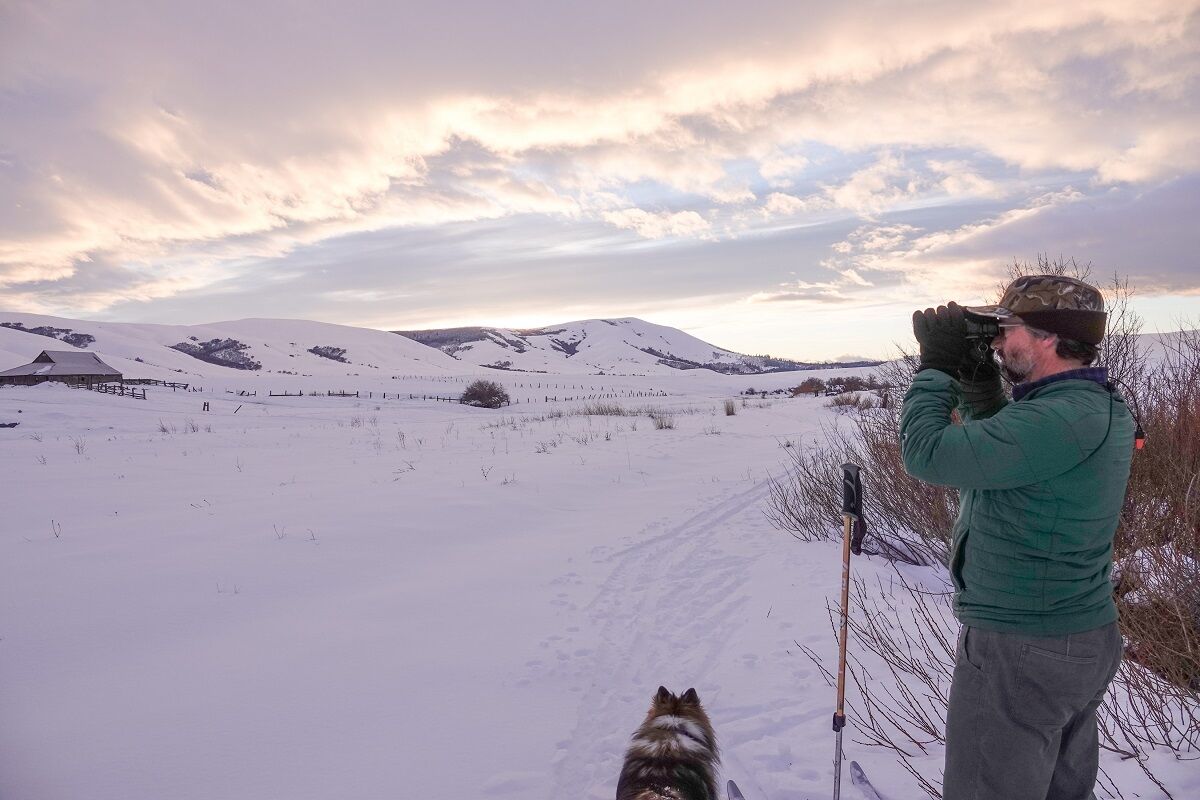 John Bishop's Birds in the Snow: Photo by Beth Cook